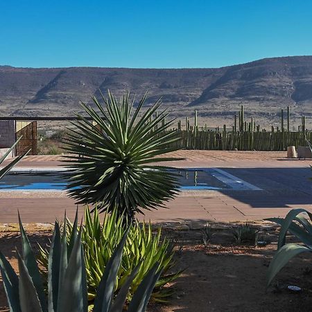 Casa Regina Oaxaca Villa San Pablo Villa de Mitla Eksteriør bilde