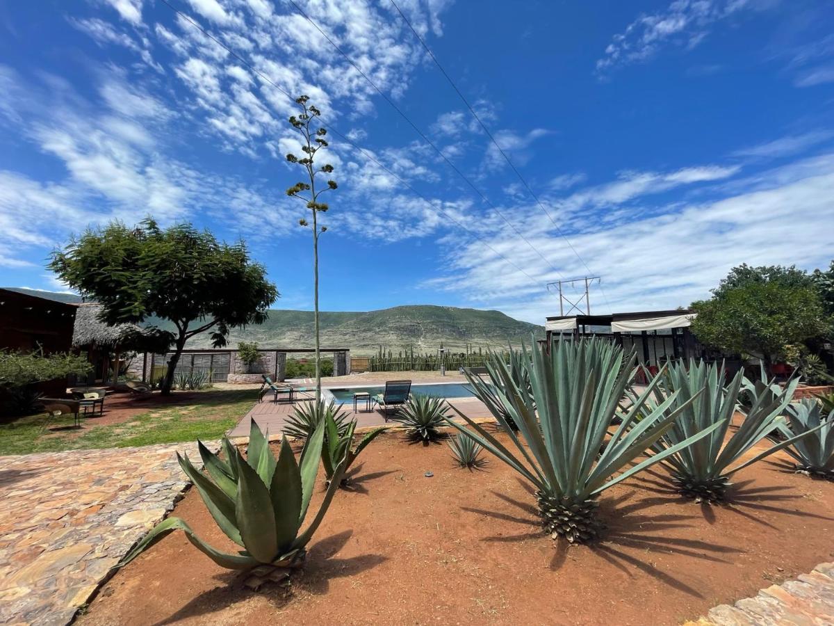 Casa Regina Oaxaca Villa San Pablo Villa de Mitla Eksteriør bilde