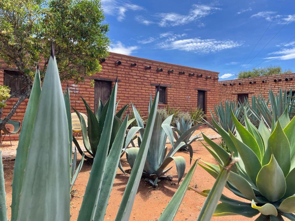 Casa Regina Oaxaca Villa San Pablo Villa de Mitla Eksteriør bilde