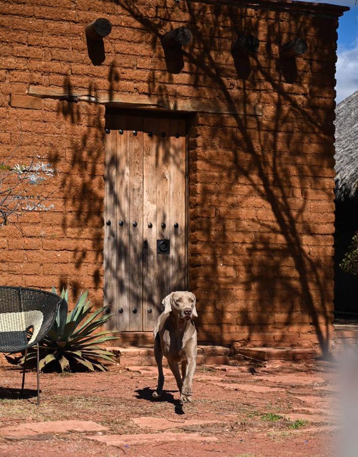 Casa Regina Oaxaca Villa San Pablo Villa de Mitla Eksteriør bilde