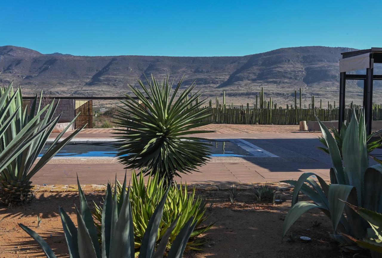 Casa Regina Oaxaca Villa San Pablo Villa de Mitla Eksteriør bilde