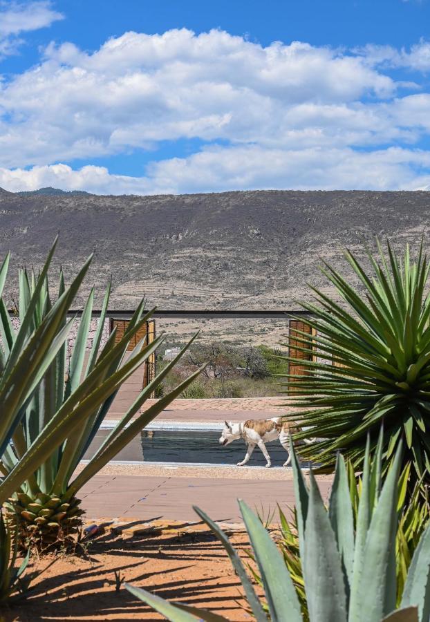 Casa Regina Oaxaca Villa San Pablo Villa de Mitla Eksteriør bilde