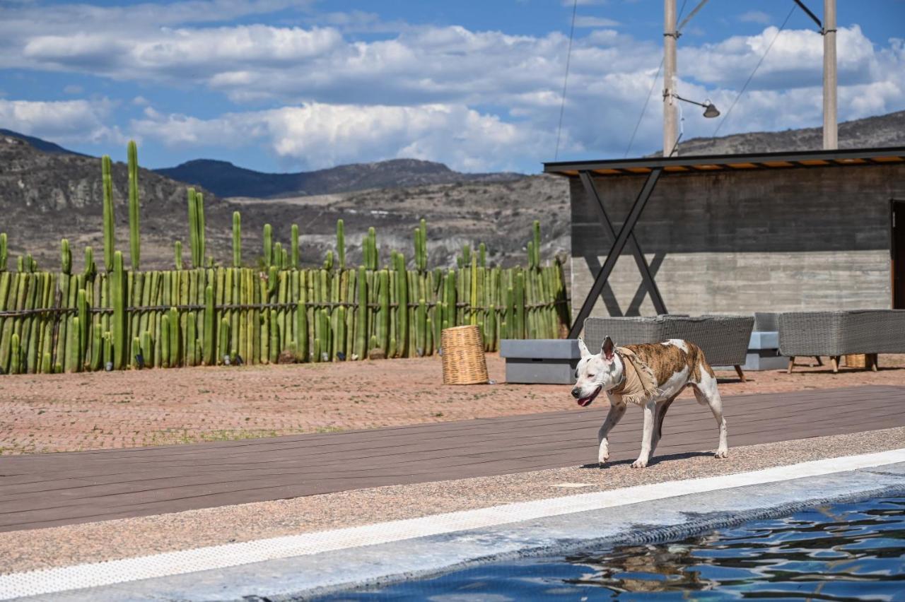 Casa Regina Oaxaca Villa San Pablo Villa de Mitla Eksteriør bilde